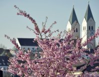 _dsc9964-Kontrast-Ausschnitt-klein