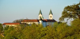 Dsc_8226-Kontrast-mitFarbbl.-klein